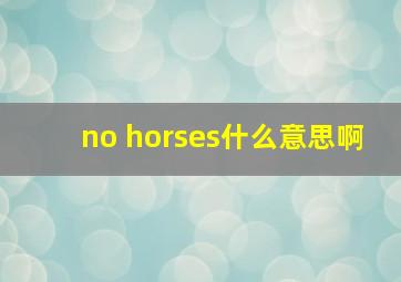 no horses什么意思啊